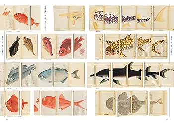 潜流堂画譜 明治時代？魚類図鑑 潜流堂画譜 明治時代？魚類図鑑
